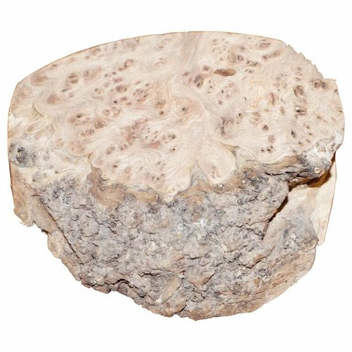 Lump recently carved - of, burr