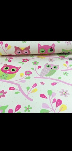 Owls perched branches with - perched, on