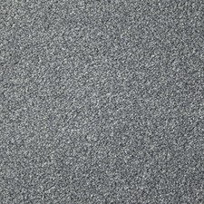 Apollo Plus Carpet- Homerton