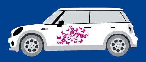 Butterfly daisy flower car - &,
