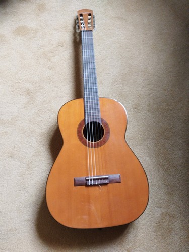 Hofner anno 1976 - 1976, 484