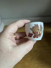 Royal Worcester Evesham Green