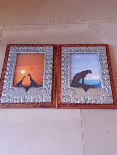 Framed pictures wild - x,