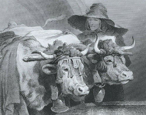 Edwin landseer oxen the - landseer,