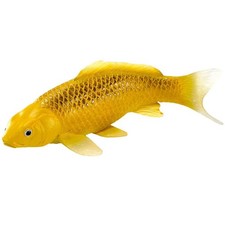 Koi Carp Kin Matsuba Gold