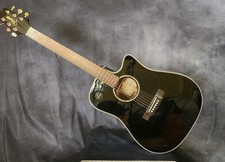 Takamine Electric Acoustic