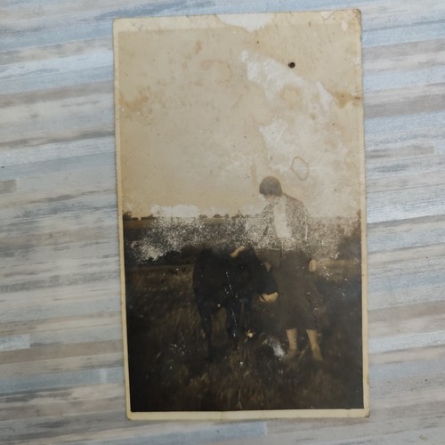 Postcard real photo - postcard,