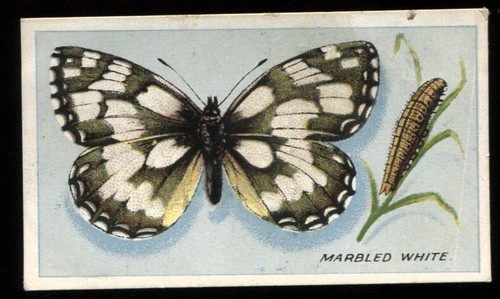 Tobacco card godfrey - card,,