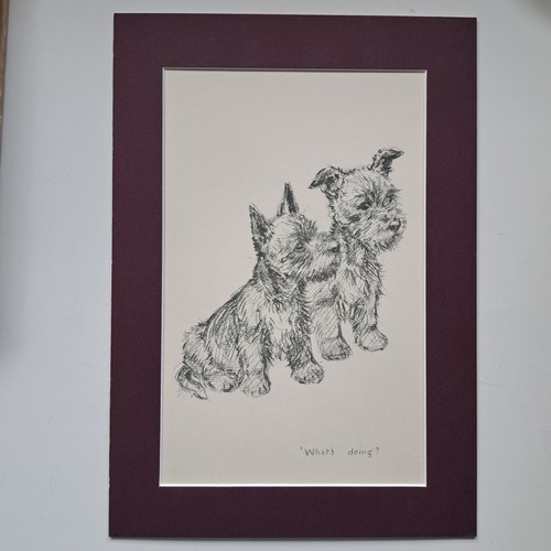 Terrier pups f barker - terrier, k
