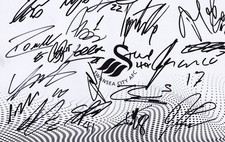 Football - Swansea City - Hand