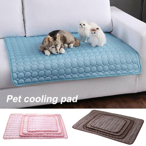 Pet summer cooling - pet,