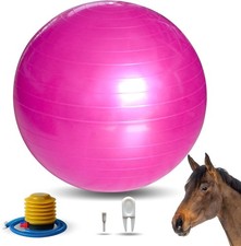 17 Inch Horse Play Balls