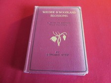Wayside & Woodland Blossoms by