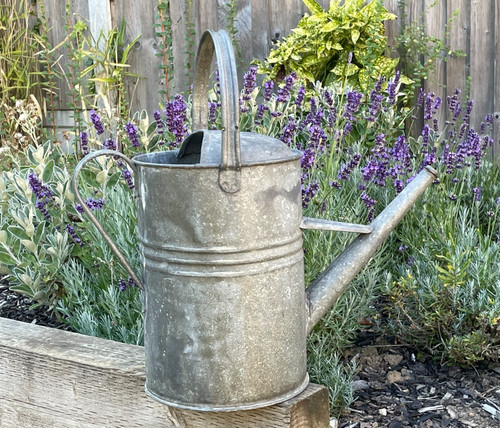 Vintage litre galvanised - vintage,