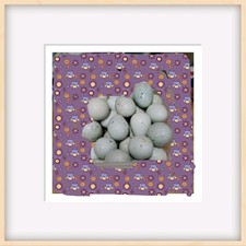 3 Celadon quail  Eggs 