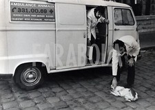 Vintage Press Photo Animal