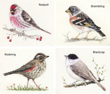 REDPOLL, REDWING, BLACKCAP