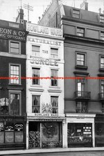 F024257 London Piccadilly 167 166 165 Rowland Ward 1904