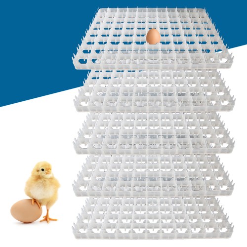 Egg hatching incubator - hatching, trays