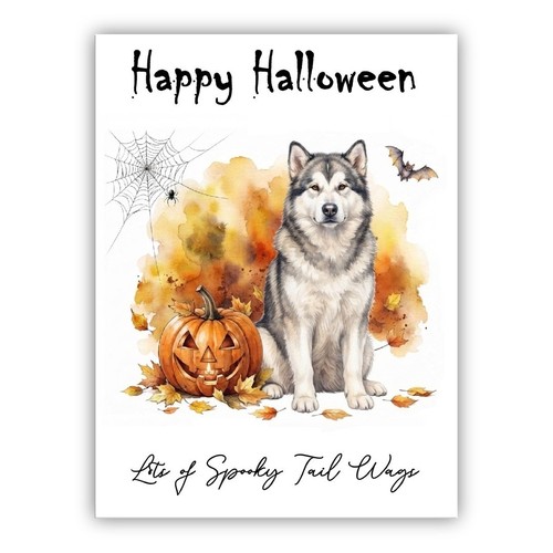 Alaskan malamute dog - malamute, halloween
