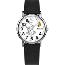 Timex TW2Y31000