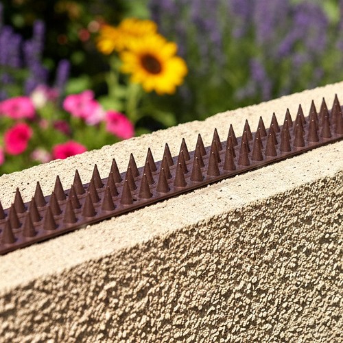 Bird fence wall spikes cat - fence,