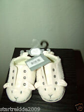 First Impression Little Lamb