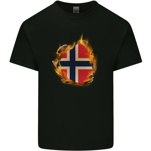 The norwegian flag fire - norwegian,