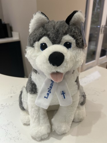 Fluffy lapland husky - fluffy, dog