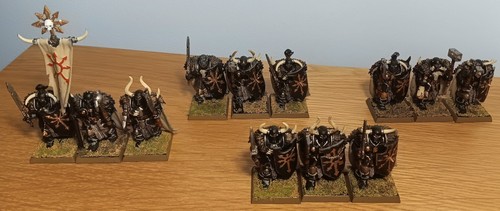 Chaos warriors x12 painted - x12,
