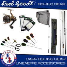 Carp Rod And Reel Fishing 