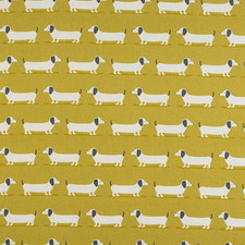 Fryetts Hound Dog Dachshund