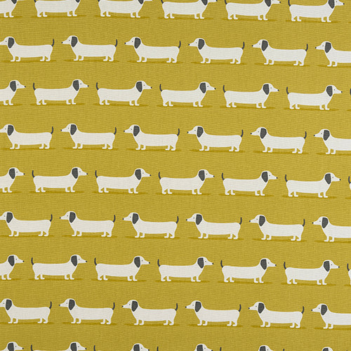 Fryetts hound dog dachshund - hound,