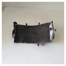 Water Radiator Electric Fan Honda CBR 900 929 RR Fireblade 2000 2001