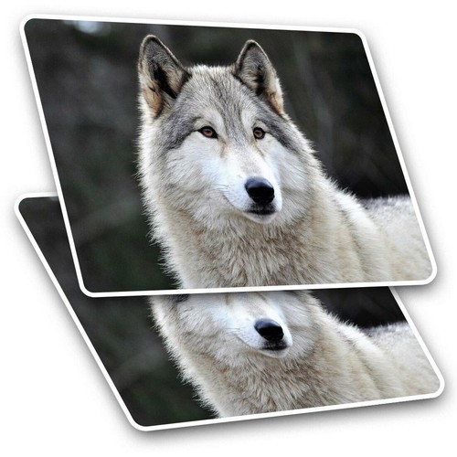 Rectangle stickers cm - rectangle,