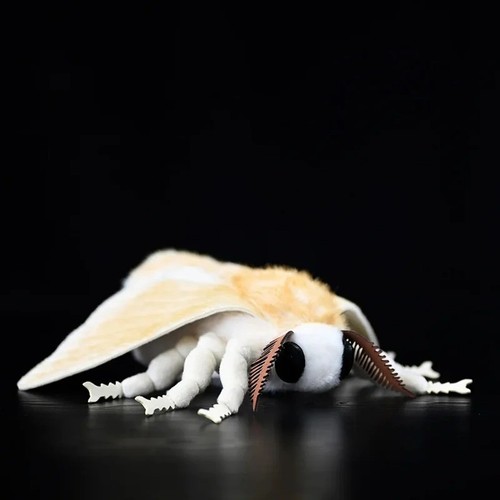 27cm silkworm moth plush soft - silkworm,