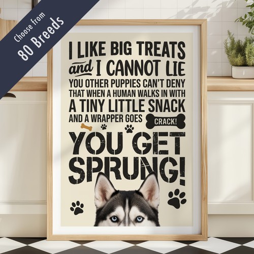 Funny dog treats - funny,