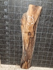ENGLISH WALNUT SLAB LIVE EDGE