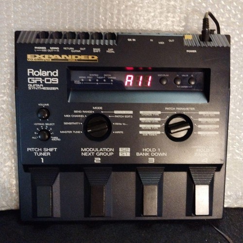 Roland guitar - roland,