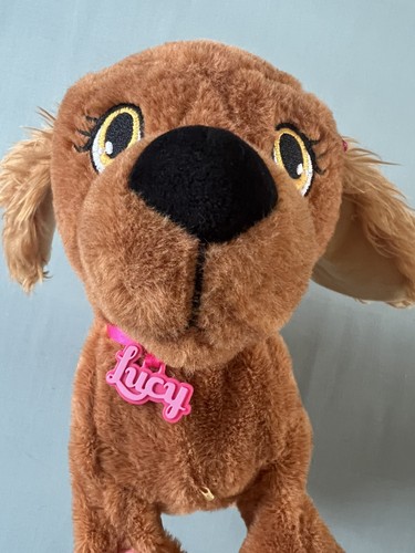 Lucy the puppy - lucy,