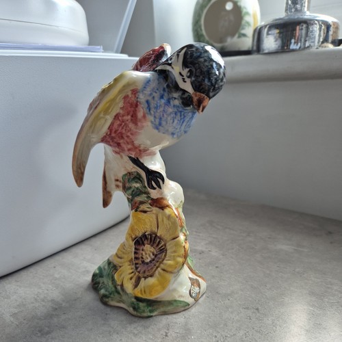Beswick bird the chickadee - bird,