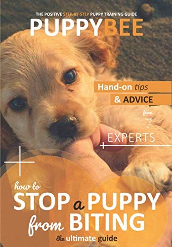 How stop puppy from - how, a