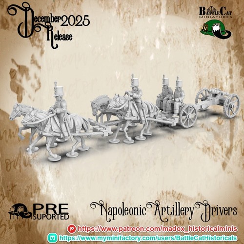 28mm napoleonic portuguese - napoleonic,