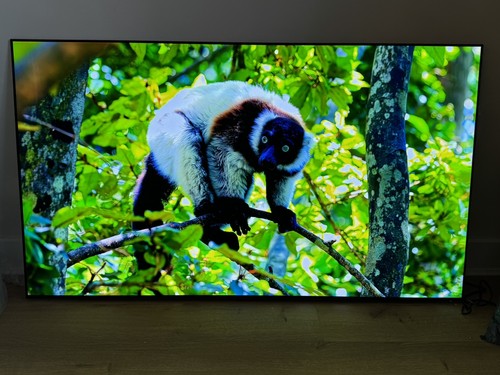 Inch oled evo c4 4k - 55,