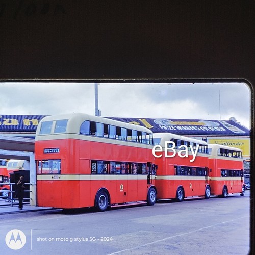 1950s red border kodachrome