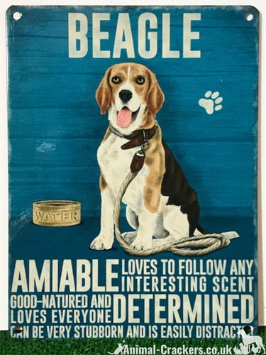 Beagle dog metal sign - beagle,