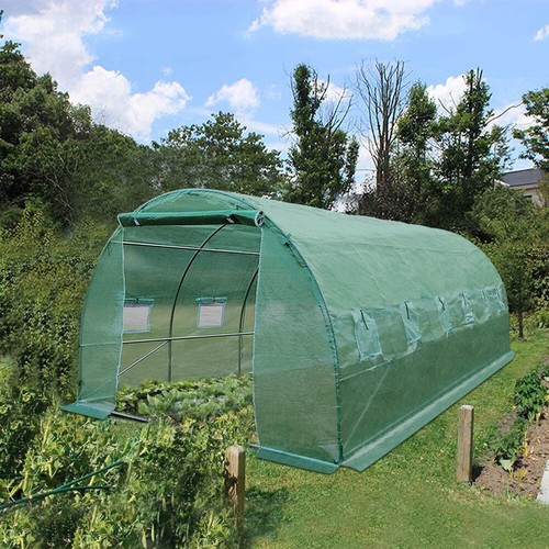 Reinforced walk polytunnel - reinforced,