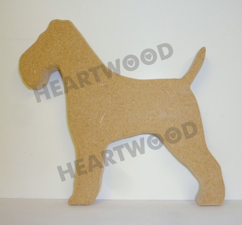 Irish terrier dog - terrier,