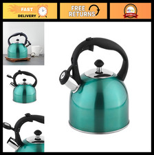 Stainless Steel Teal Kettle