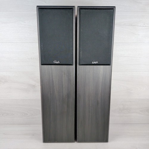Gale model floor - gale, 4